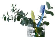 delta dental insurance